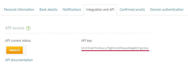 The API key shown in full.